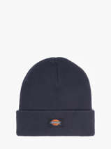 Beanie Dickies Blue accessoires DK0A4X7K