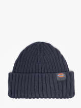 Beanie Dickies Blue accessoires DK0A4Z2O