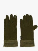 Gants Le voyage en panier Vert accessoires AHG001