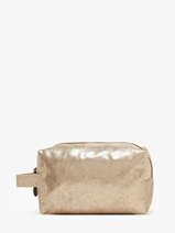 Pouch Le voyage en panier Gold accessoires S