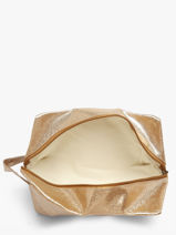 Pouch Le voyage en panier Gold accessoires L-vue-porte