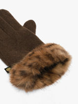 Gants Finitions L�opard Le voyage en panier Marron accessoires AHG004-vue-porte