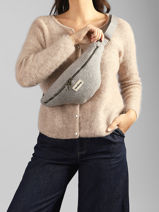 Belt Bag Hindbag Gray winter WT-vue-porte
