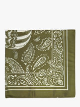 Foulard Le voyage en panier Vert accessoires AHF008-vue-porte