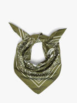 Foulard Le voyage en panier Vert accessoires AHF008