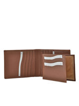 Wallet Caviar Leather Crinkles Brown caviar 14124-vue-porte