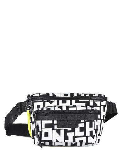 long champ fanny pack