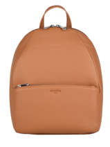 Backpack Confort Hexagona Brown madrid 536749