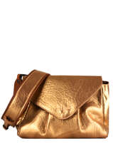 Small Leather Suzon Crossbody Bag Paul marius Gold vintage M