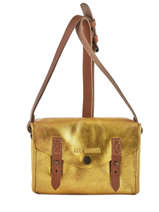 Leather Crossbody Bag Mini Indispensable Paul marius Gold vintage MINI