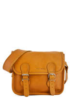 Leather La Sacoche Crossbody Bag Paul marius Yellow vintage S