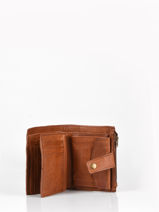 Leather Cow Coin Purse Basilic pepper Brown cow BCOW94-vue-porte