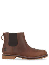 Chelsea boots larchmont ii in leather-TIMBERLAND