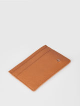 Card Holder Leather Etrier Brown madras EMAD053-vue-porte