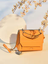 Medium Leather Ninon Shoulder Bag Lancel Orange ninon A11747