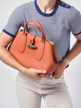 Longchamp Roseau Handbag Orange-vue-porte
