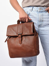 Backpack A4 Cow Basilic pepper Brown cow BCOW50-vue-porte