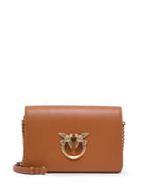 Leather Love Classic Click Crossbody Bag Pinko Brown love bag icon 1P22TH