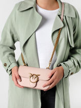 Leather Classic Love Baby Bell Crossbody Bag Pinko Pink love bag icon 1P22U0-vue-porte