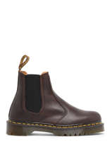 Chelsea Boots 2976 Bex Crazy Horse In Leather Dr martens Brown men 27896201