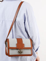 Longchamp Box-trot toile Messenger bag Brown-vue-porte