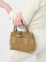 Longchamp Roseau soft Handbag Brown-vue-porte