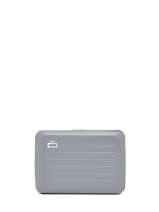 Card Holder Ogon Gray matte MAT