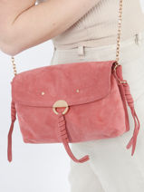 Medium Suede Leather Othilia Crossbody Bag Vanessa bruno Pink othilia 55V40815-vue-porte