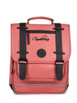 2-compartment  Backpack Cameleon Pink vintage north PBVWSD38