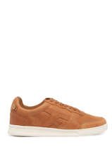 Hazel Sneakers In Leather Faguo Brown men 22CG0301