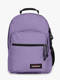 dahlia purple