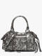 the silver
