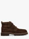 brown sde