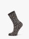 morel silver lining