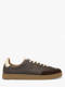 brown 33