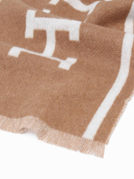 Scarf Tommy hilfiger Brown th monotype AM11738 other view 2