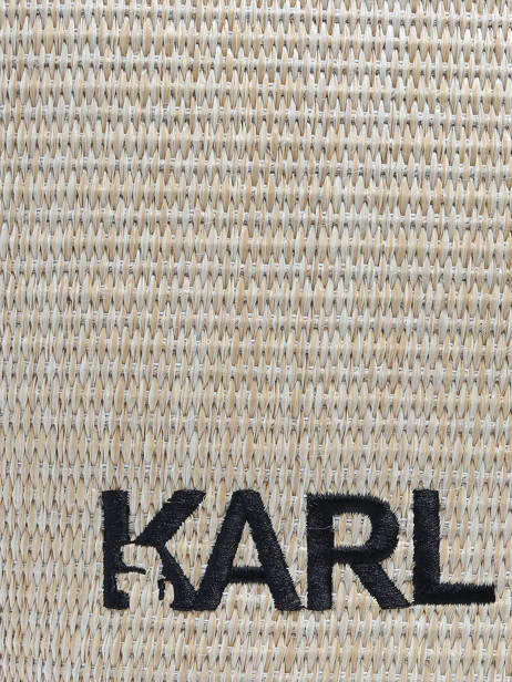Sac Porté épaule K Essential Raphia Karl lagerfeld Beige k essential 241W3057 vue secondaire 5