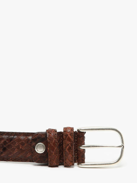 Belt Etrier Brown bride EBRI711C other view 2