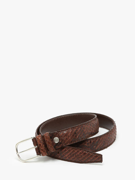 Belt Etrier Brown bride EBRI711C other view 3
