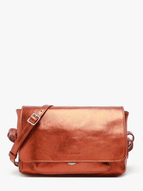 Small Leather Diane Ginger Crossbody Bag Paul marius Brown ginger DIANSGIN