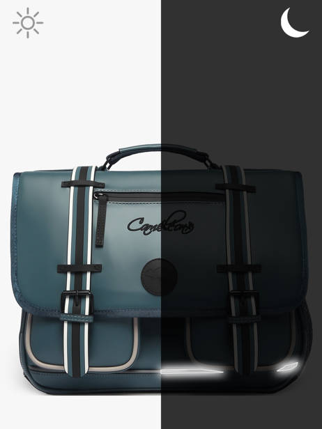 Vintage North Satchel Cameleon Blue vintage north CA41 other view 8