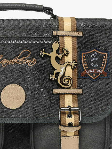 Sac A Dos à Roulettes 2 Compartiments Cameleon Gris vintage urban SR40 vue secondaire 6