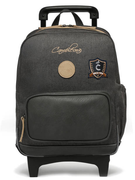 Sac A Dos à Roulettes 2 Compartiments Cameleon Gris vintage urban SR40 vue secondaire 7