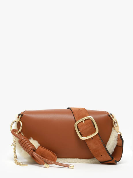 Belt Bag Alpin Leather Etrier Brown alpin EALP022M other view 4