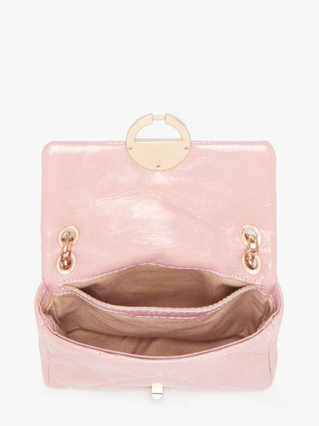 Leather Nano Moon Crossbody Bag Vanessa bruno Pink moon 84V40326 other view 3