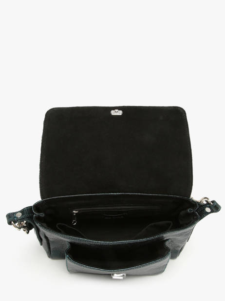 Small Leather Diane Minuit Crossbody Bag Paul marius Green minuit DIANSMIN other view 2