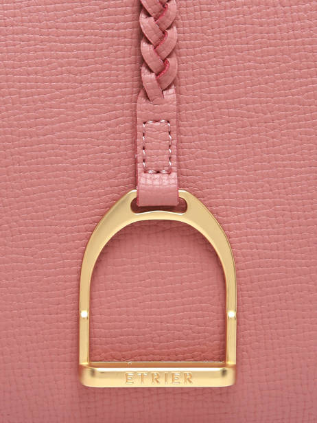 Crossbody Bag Torsade Leather Etrier Pink torsade ETOS0142 other view 5
