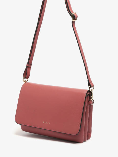 Sac Bandoulière M Tradition Cuir Etrier Rose tradition ETRA207M vue secondaire 2