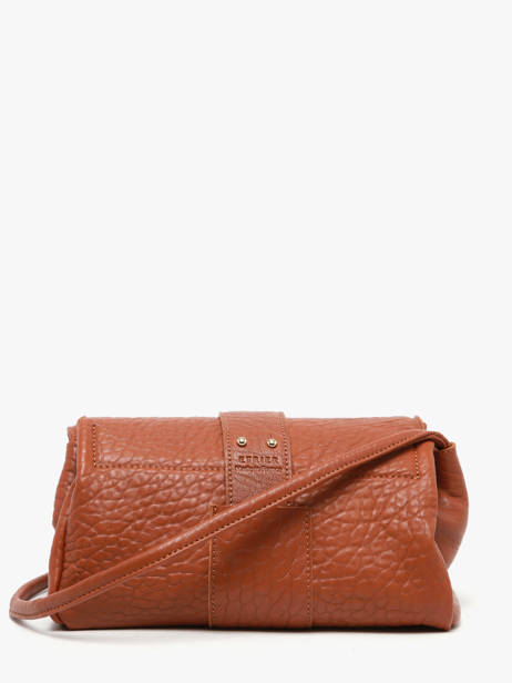 Sac Bandoulière M Agnes Cuir Etrier Marron agnes EAGC205M vue secondaire 7