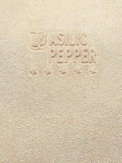 Shoulder Bag Houston Leather Basilic pepper Beige houston BHOU80 other view 4